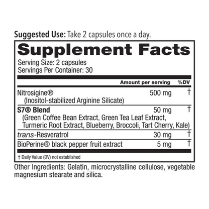 Nitric Oxide BloodFlow